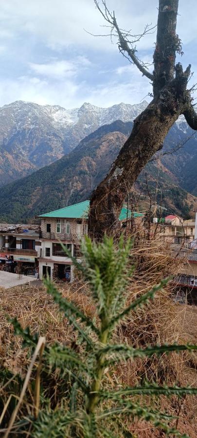 Sahaj Homestay Naddi Dharamshala Buitenkant foto