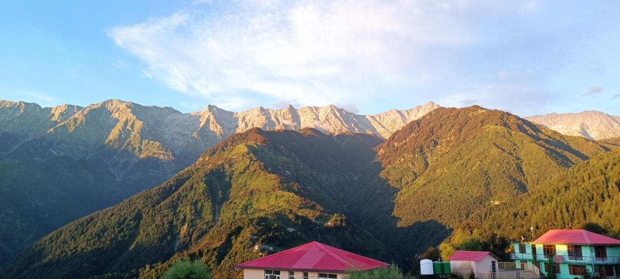 Sahaj Homestay Naddi Dharamshala Buitenkant foto